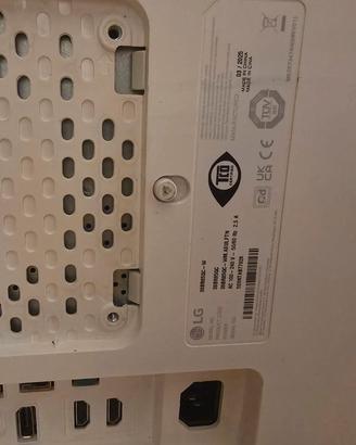 LG Monitor 