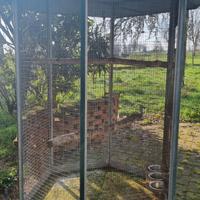Voliere e alloggi per pappagalli