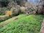 Immagine 11