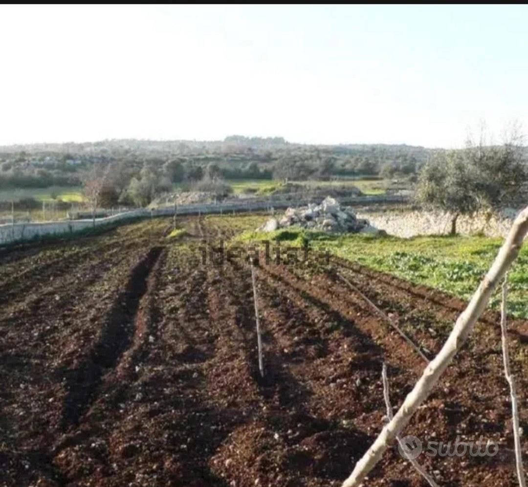 Terreno con caseggiato e piscina - Vista 4