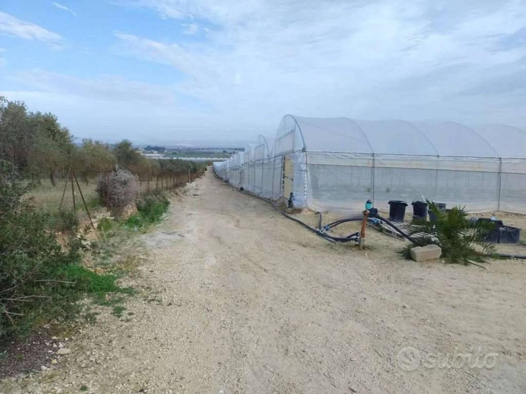 Immobile in asta di 48970 m² a Noto - Vista 2