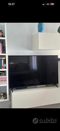 Lg 55 pollici