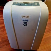 Deumidificatore De Longhi DH300P
