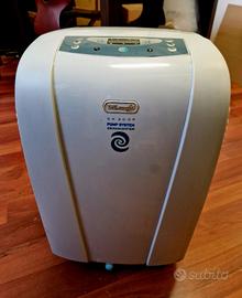 Deumidificatore De Longhi DH300P