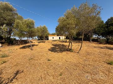 Casa indipendente nei pressi di Porto Rotondo