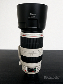 Canon EF 100-400mm f/4.5-5.6L IS II USM