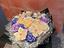 Immagine 1