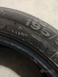 Gomme estive 