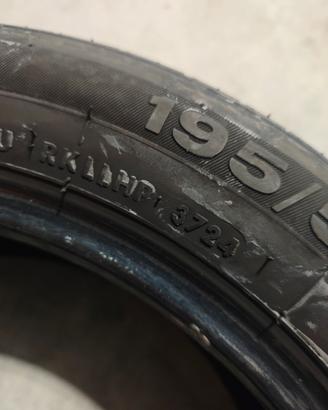 Gomme estive 