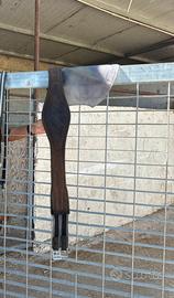 Sottopancia equestro