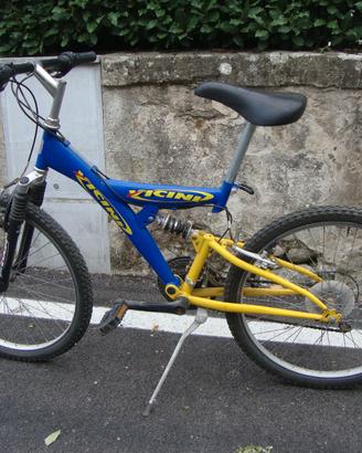 mountain bike ammortizzata