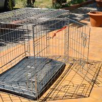 Kennel gabbia 
