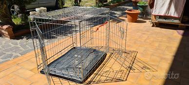 Kennel gabbia 