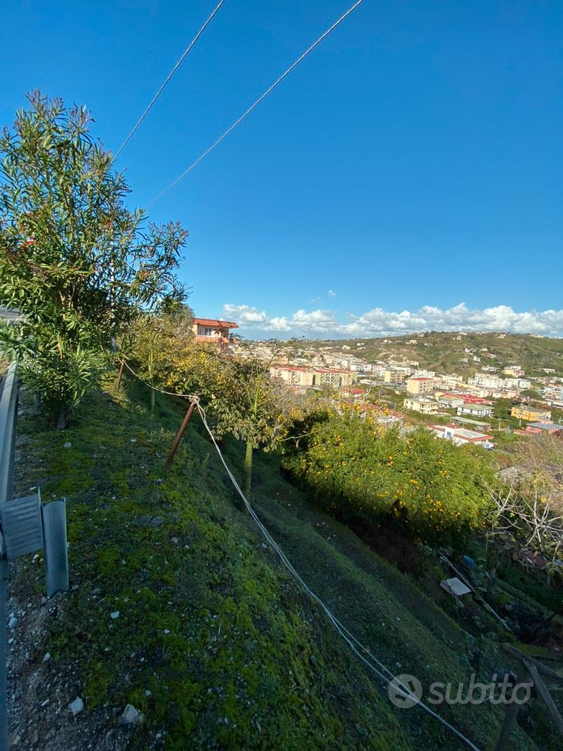 Terreno agricolo - VIGNETO - Vista 2