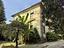 Immagine 7
