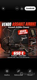 ASSAULT BIKE
