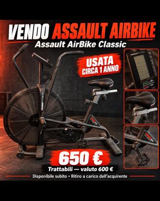 ASSAULT BIKE