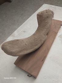 vecchia riproduzione osso