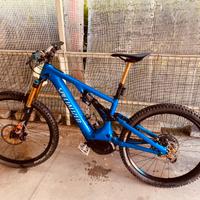 Bici ebike