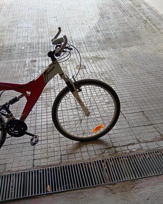 Bici MTB 2 pezzi