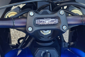 Splendida Suzuki GSX S 1000