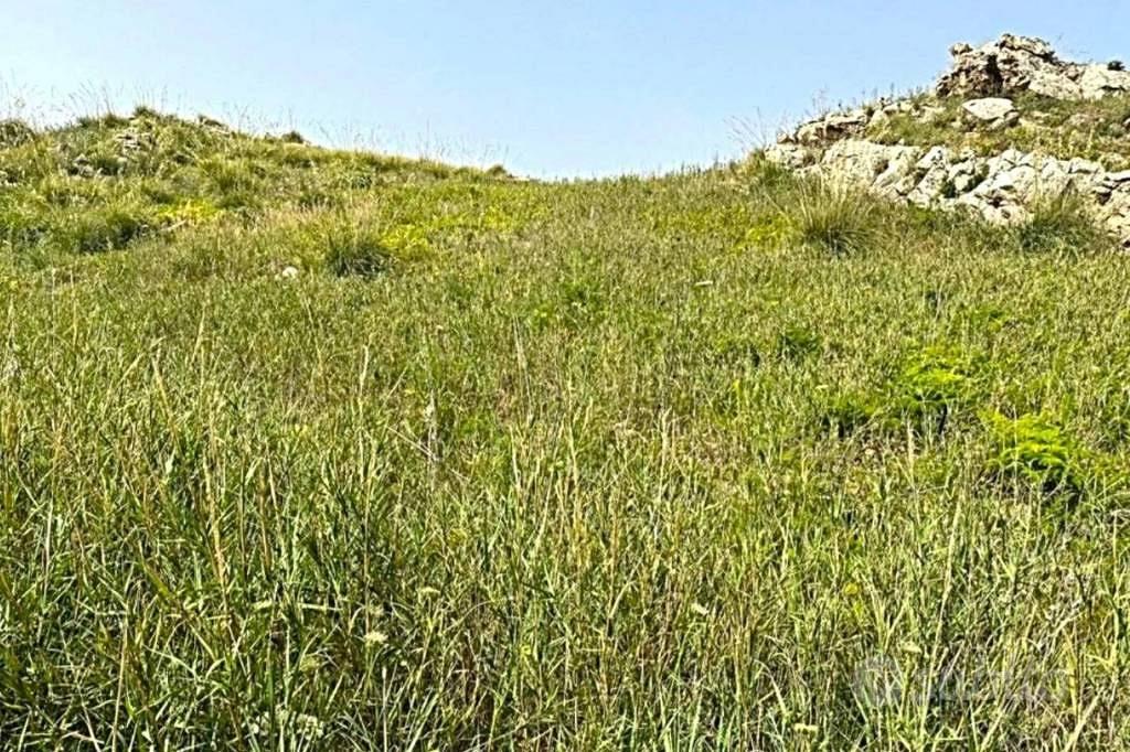 Immobile in asta di 26740 m² a Alessandria della R - Vista 4