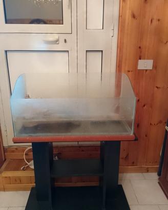 Teca tartaruga di Acqua 