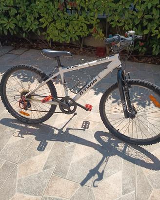 bicicletta 