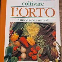 Coltivare l'orto in modo sano e naturale 