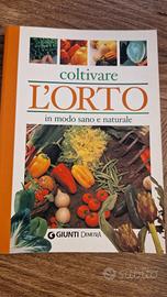 Coltivare l'orto in modo sano e naturale 