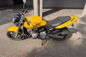 Hornet 600