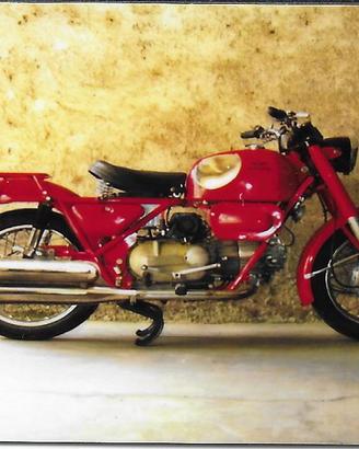 MOTO GUZZI NUOVO FALCONE 500 - ANNO 1973