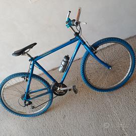 Mtb Giant