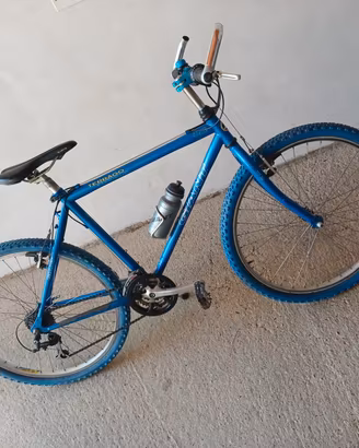Mtb Giant