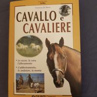 CAVALLI E CAVALIERE + CAVALLI
