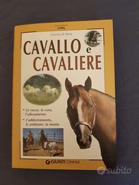 CAVALLI E CAVALIERE + CAVALLI