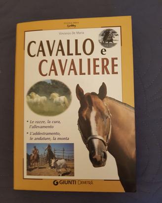 CAVALLI E CAVALIERE + CAVALLI