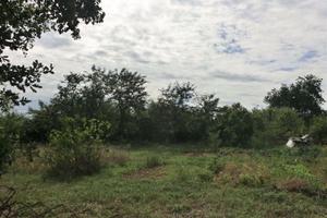 Terreno Agricolo Civita Castellana