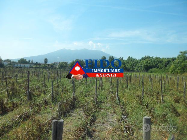 Terreno agricolo di 24.300 mq con pozzo