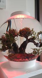 Acquario  Biorb 30 litri completo 