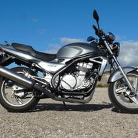 Kawasaki ER 5 Naked (M1251)