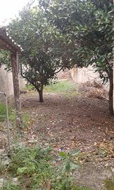 Casa campidanese a Santa Giusta