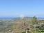 Immagine 11