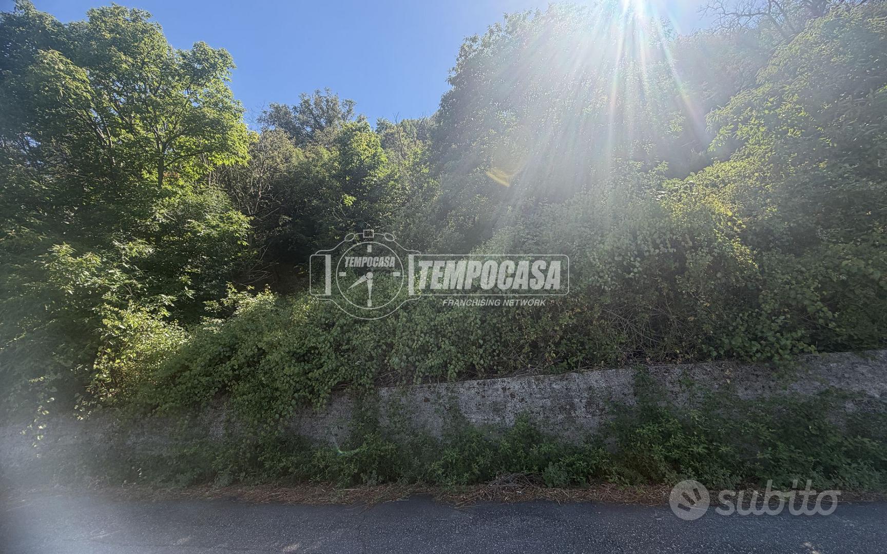 TERRENO AGRICOLO TERRAZZATO ITALA LOCALITA' CROCE - Vista 5