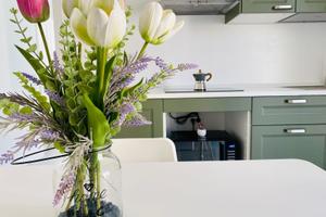 Alghero zona Lido / Porto