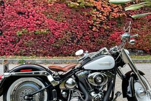 Harley Davidson FAT BOY