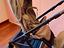 Immagine 5