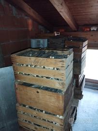 55 Casette di legno piene di legna da ardere