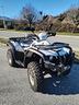 quad-550-4x4-linhai