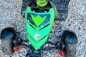 mini Quad 
